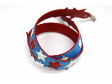 Accessoires