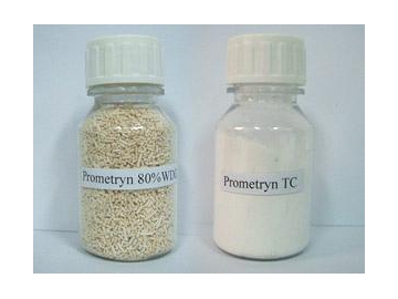 Prométryne