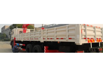 Grue montée sur camion (Grue mobile à flèche télescopique SQ8)