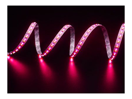Ruban LED multicolore (RGB   CCT)