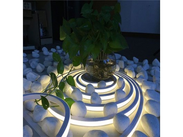 Néon LED flexible