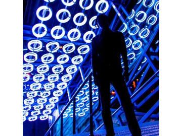 Néon LED flexible