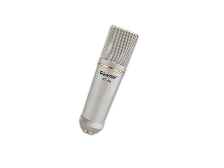 Microphone canon professionnel