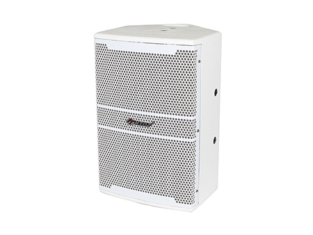 Enceinte professionnelle / Haut-parleur professionnel