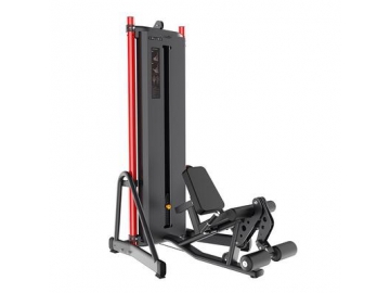 Station de musculation, série 100