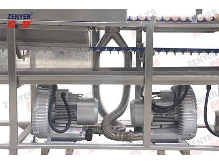 Machine à laver les œufs 200A (3000 œufs/heure)