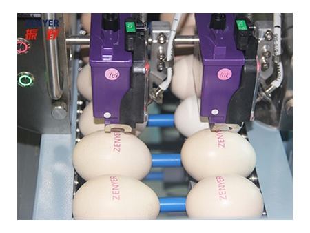 Machine de marquage d'œufs 402H
