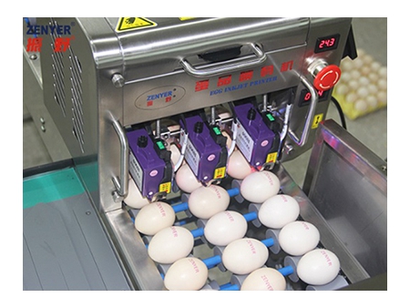 Machine de marquage d'œufs 403H