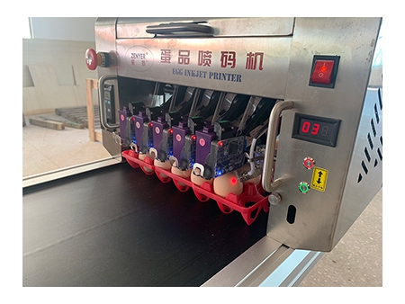 Machine de marquage d'œufs 405HS