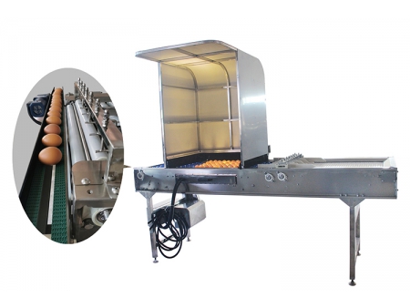 Machine d'emballage des œufs 710 (10000 œufs/heure)