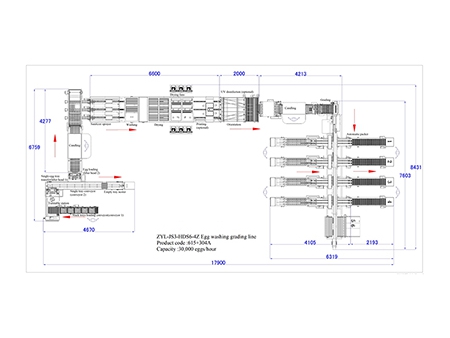 La ligne de traitement d’œufs 304A avec machine de nettoyage d’œufs et calibreuse (30.000 œufs/heure)