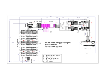 Ligne de traitement d’œufs 305A avec machine de nettoyage & calibreuse (60.000 œufs/heure)