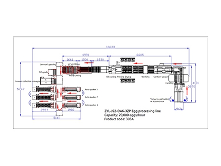 Ligne de traitement des œufs 303A avec Nettoyage, Calibrage & Emballage automatique (20000 œufs/heure)