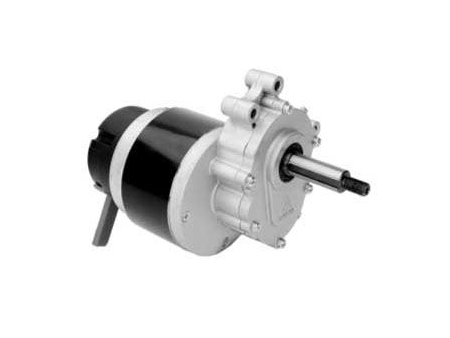 Moteur d'entraînement 250W (2800 RPM), moteur à balais PMDC ZD101AZ1