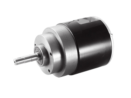 Moteur d'entraînement - à déplacement horizontal 900W (3100 RPM), Moteur sans balais PMDC TF110AH2