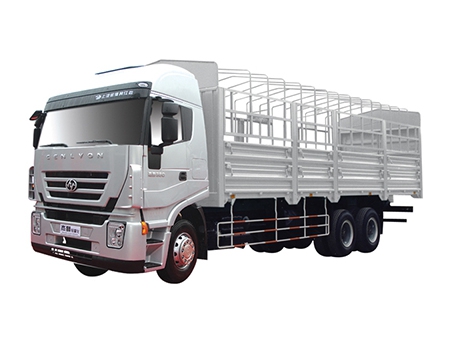 Camion de marchandises Genlyon Euro Ⅲ 6×4