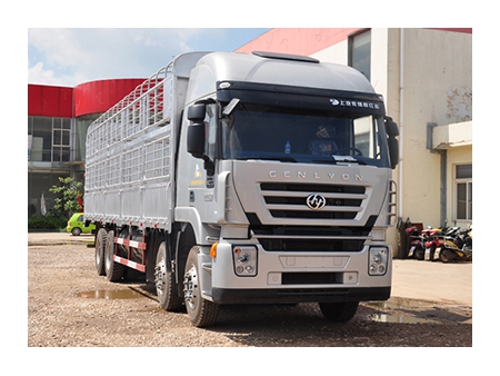 Camion Euro 3, 8×4 - pour marchandises (Kingkan)