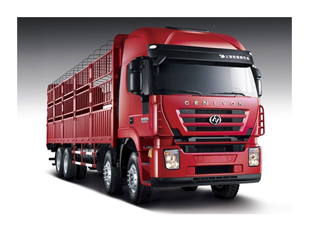 Camion Euro 3, 8×4 - pour marchandises (Kingkan)