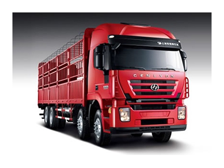 Camion Euro 4, 8×4 - pour marchandises (Kingkan)