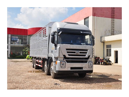 Camion Euro 4, 8×4 - pour marchandises (Kingkan)