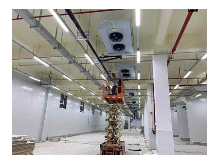 Chambre Froide pour les Fruits et Légumes