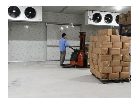 Chambre Froide pour les Fruits et Légumes