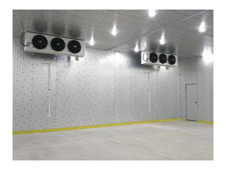 Chambre Froide pour les Fruits et Légumes