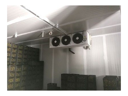 Stockage Froid à Atmosphère Contrôlée
