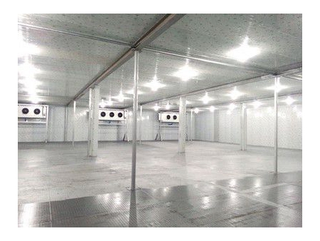 Stockage Froid de Viande Congelée