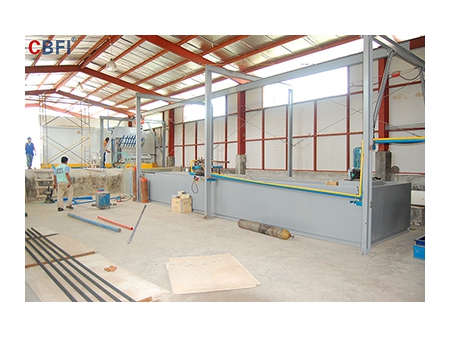 Usine de fabrication de blocs de glace de 12 tonnes de CBFI aux Philippines