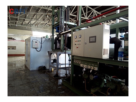 Usine de glace en tube de 20 tonnes de CBFI en Iran