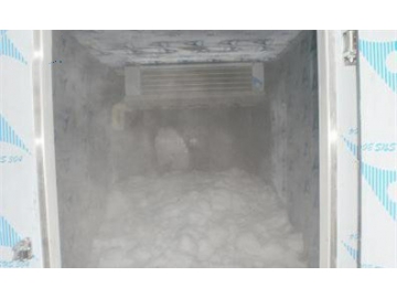 Maldives--Machine à glace en plaque conteneurisée et stockage de glacee