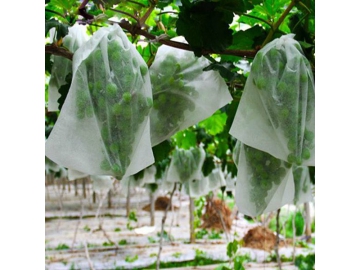 Non-tissé pour sacs de plantation