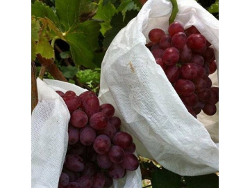 Non-tissé pour sacs de plantation