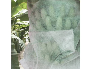 Non-tissé pour sacs de plantation