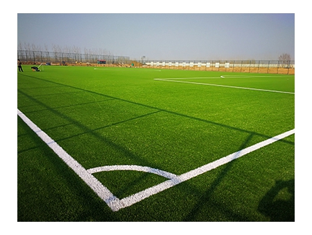 Gazon synthétique pour Football / Gazon synthétique pour terrain de foot / Gazon artificiel pour terrain de foot