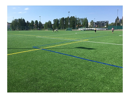 Gazon synthétique pour Football / Gazon synthétique pour terrain de foot / Gazon artificiel pour terrain de foot