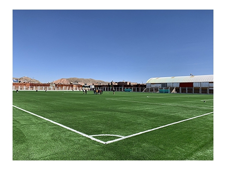 Gazon synthétique pour Football / Gazon synthétique pour terrain de foot / Gazon artificiel pour terrain de foot