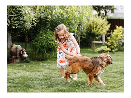 Gazon synthétique pour animaux / Gazon synthétique pour chiens et animaux domestiques