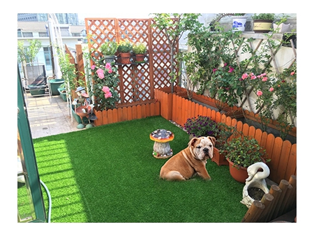 Gazon synthétique pour animaux / Gazon synthétique pour chiens et animaux domestiques