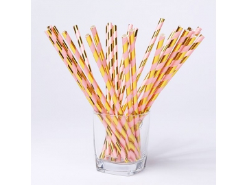 Paille droite en carton