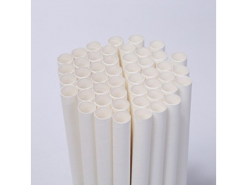 Paille droite en carton