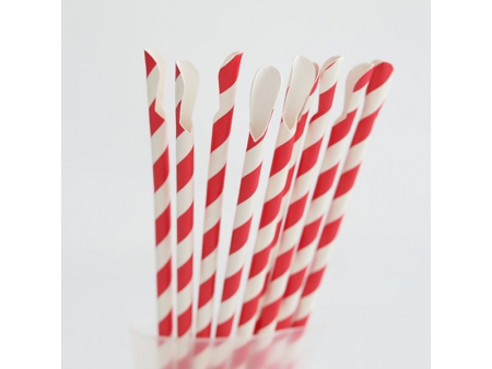 Paille cuillère en carton