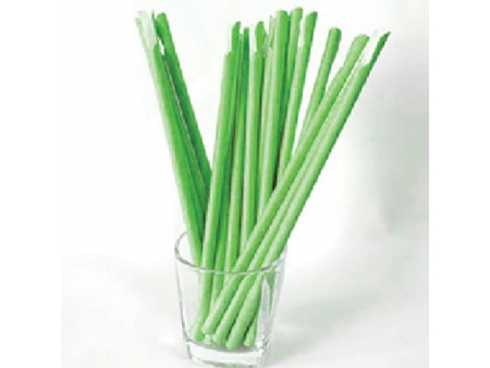Paille cuillère en carton