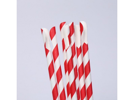 Paille cuillère en carton