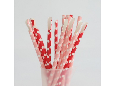 Paille cuillère en carton
