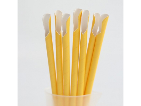 Paille cuillère en carton