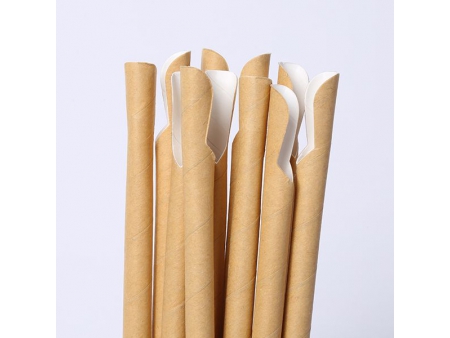 Paille cuillère en carton