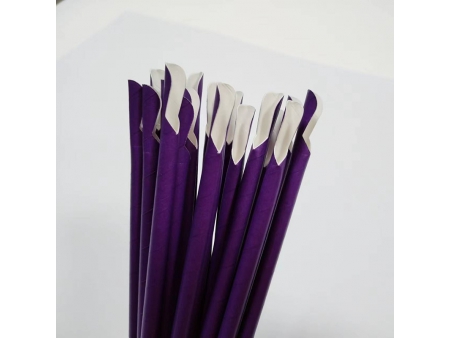 Paille cuillère en carton