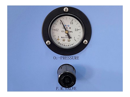 Concentrateur d’oxygène 10L